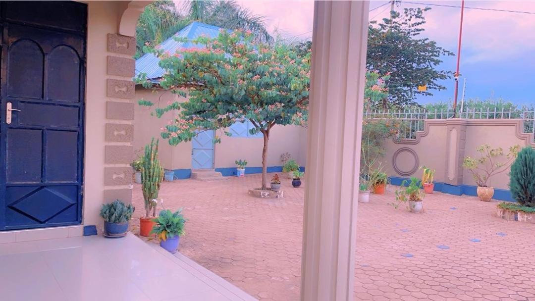 Evelina House Hostel Boma la Ngombe ภายนอก รูปภาพ